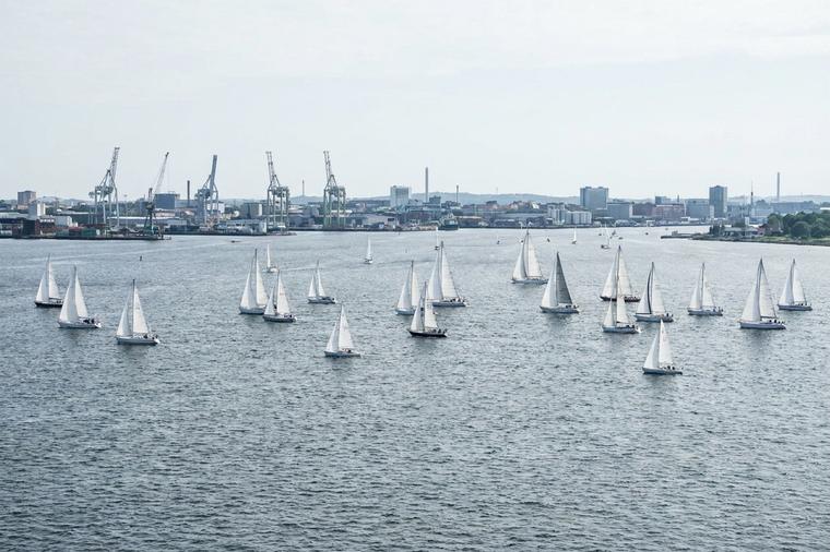 Segelregatta auf der Förde